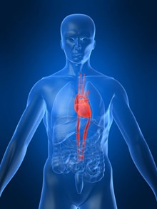 Cardiovascular Disease