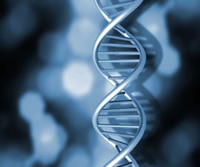 Genetics and Perio Disease