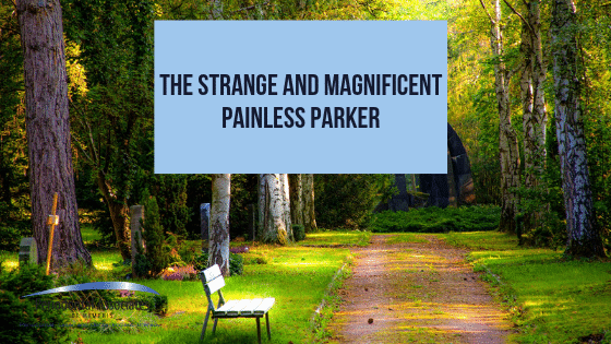 The Strange and Magnificent Painless Parker